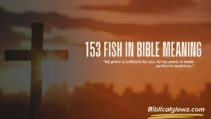 153 Fish in Bible Meaning