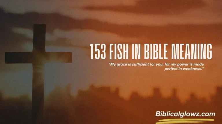 153 Fish in Bible Meaning