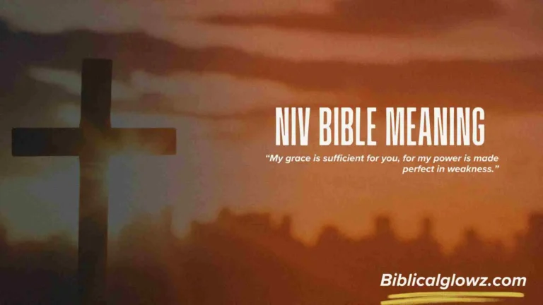 NIV Bible Meaning