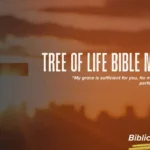 Tree of Life Bible Meaning
