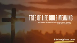 Tree of Life Bible Meaning